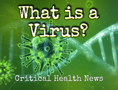 What is a Virus – Pharmacist Ben Fuchs – Moment of Truth