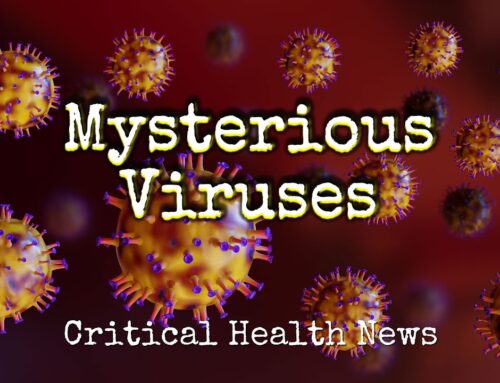 Mysterious Viruses – Pharmacist Ben Fuchs – Moment of Truth