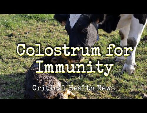 Colostrum for Immunity