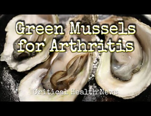Green Mussels for Arthritis