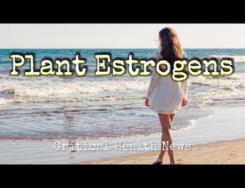 Plant Estrogens