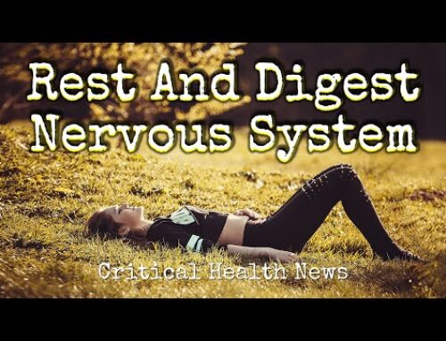 Rest and Digest Nervous System