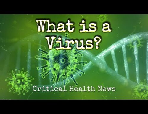 What is a Virus ?