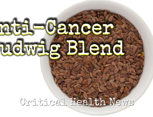 Anti-Cancer Budwig Blend