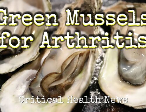 Green Mussels for Arthritis