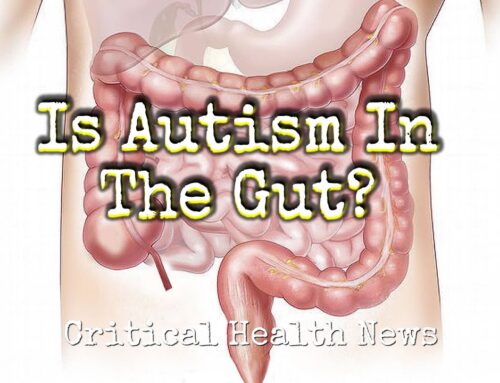 Is Autism In The Gut?