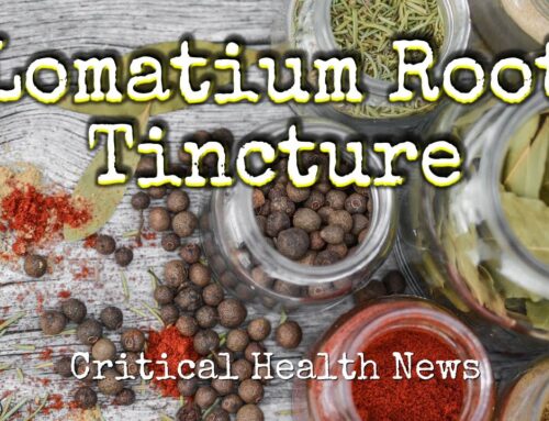 Lomatium Root Tincture