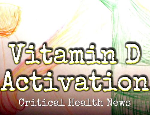 Vitamin D Activation