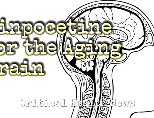 Vinpocetine For the Aging Brain