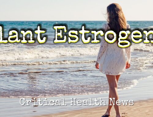 Navigating Hormone Balance Exploring Bio-Identical Estrogen and Phytoestrogens