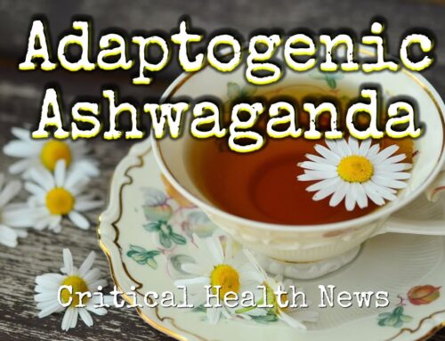 Empowering Cells: The Role of Adaptogens in Health