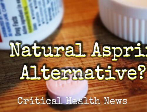 Nature’s Aspirin: Salicin-Rich Foods for Natural Healing