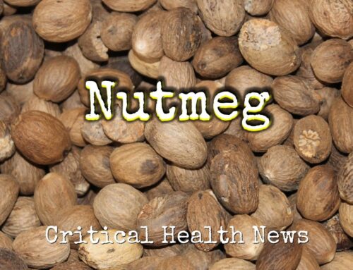 Nutmeg: More Than Just a Spice – Unraveling Its Therapeutic Wonders