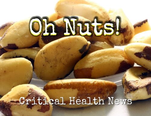 Nuts: The Crunchy Wonders of Nutrition