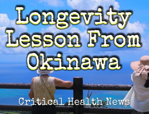 Secrets of Okinawan Longevity: Lessons for a Healthier Life
