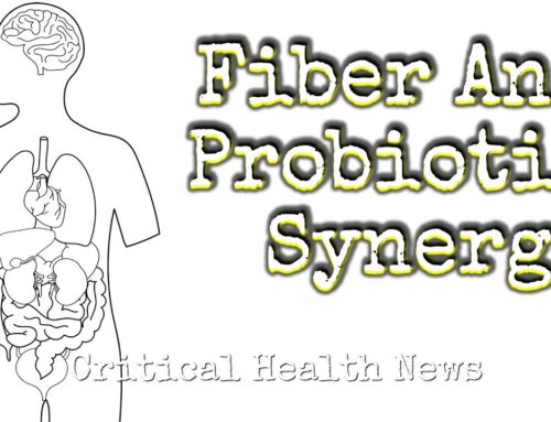 The Gut Connection: Optimizing Probiotic Benefits with a Fiber-Rich Diet