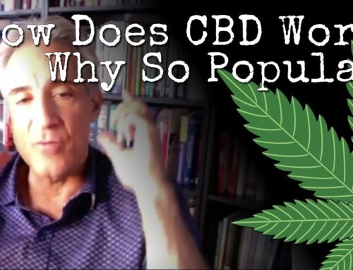 The Power of Cannabinoids: Natural Hormone Therapy Explained