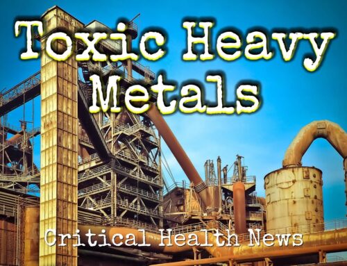 Detoxifying Safely: Managing Heavy Metal Exposure for Long-Term Health