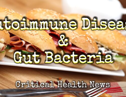 Understanding Autoimmune Diseases: A Focus on the Immune System Activation